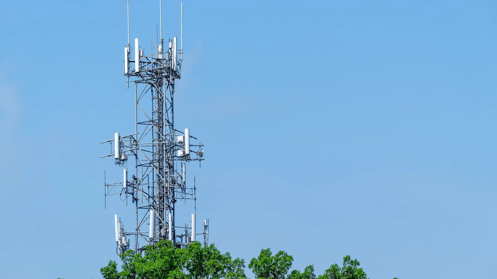 A steel lattice cellular tower fitted with panel antennas and whip antennas at several levels rises above green treetops against a clear blue sky.